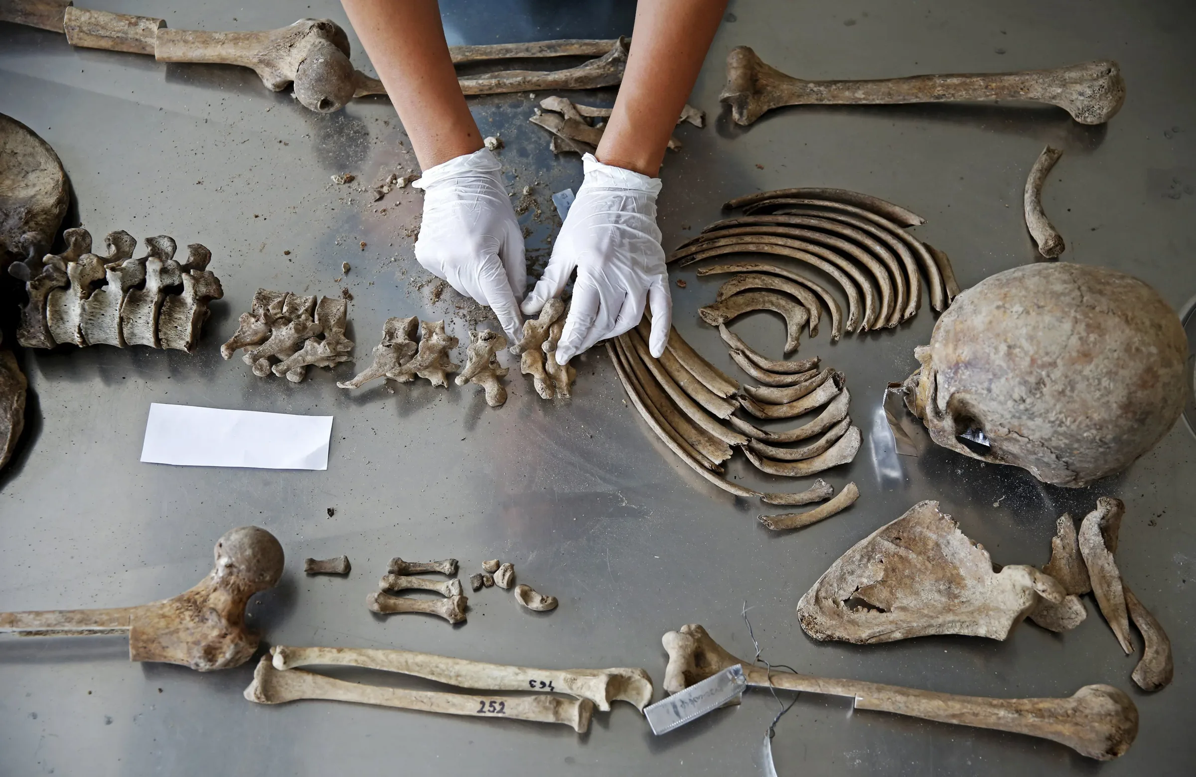 Srebrenica: What I Carried, and What History Still Carries