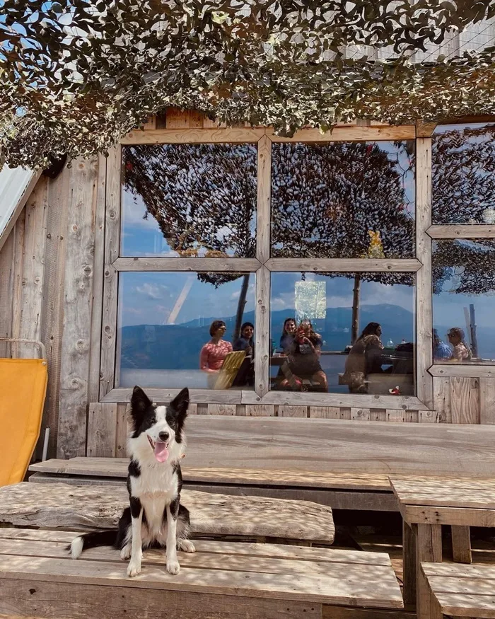 Trebević Full Day Hike: Olympic Mountain & a Local Lunch 3
